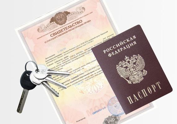 прописка в Химках